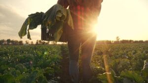 JCB Workwear - Steep Rise In Farm Worker Fatalities Over Past Year